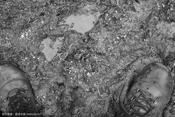 Sewage Sludge