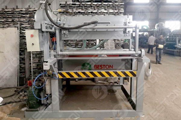 Molded Pulp Packaging Machine in Beston