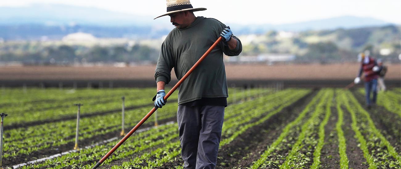 Biochar For Farmers