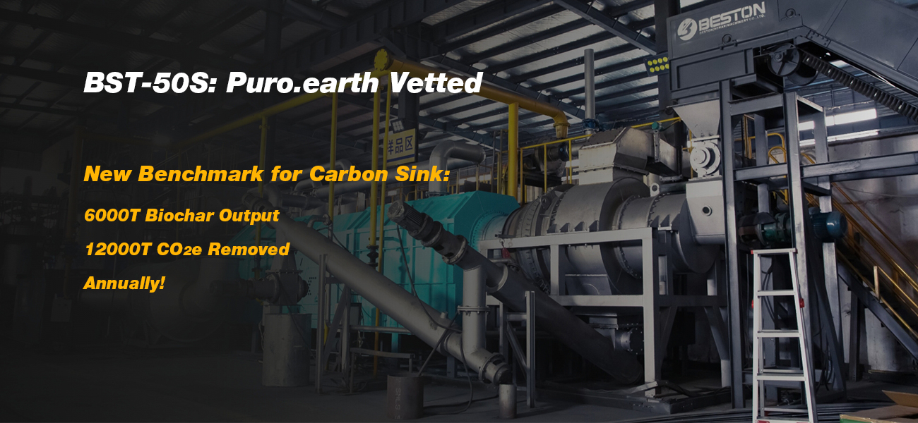 BST-50S-Biomass-Pyrolysis-Plant