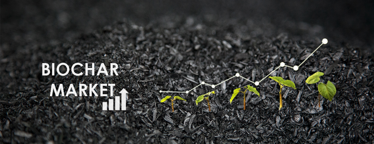 Biochar-Market-Worth-Investing-in